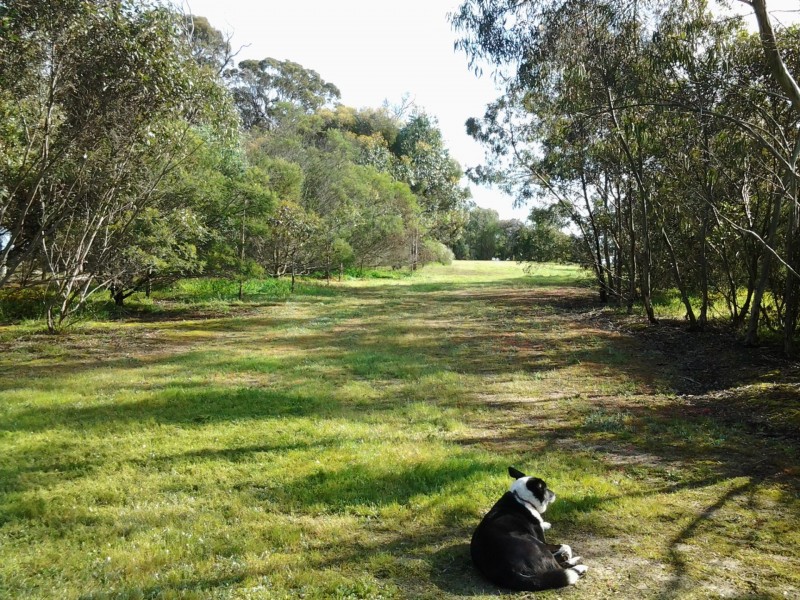 55 Beattie Road, Kendenup WA 6323
