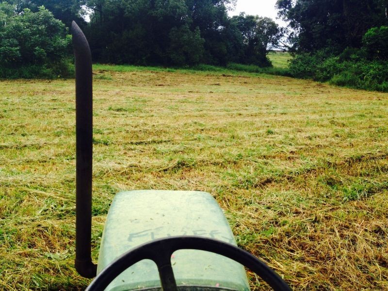 101 Alcorn Road, Knockrow NSW 2479