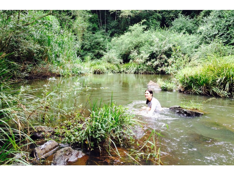 101 Alcorn Road, Knockrow NSW 2479