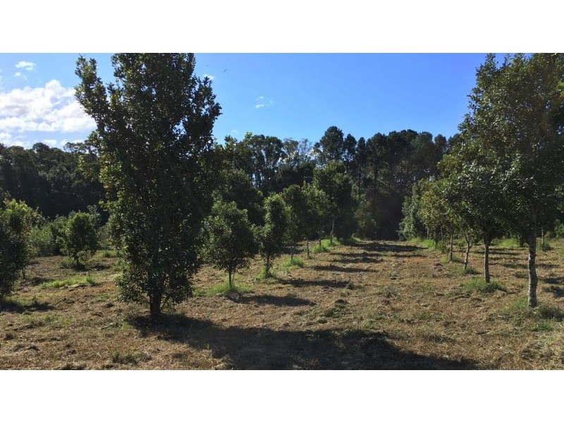 101 Alcorn Road, Knockrow NSW 2479