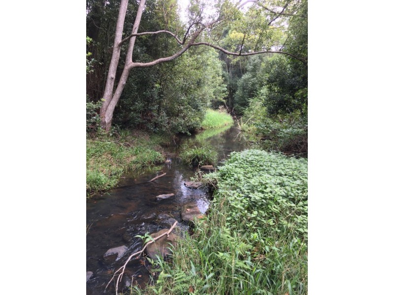 101 Alcorn Road, Knockrow NSW 2479