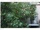 15 Park Ln, Wodonga VIC 3690