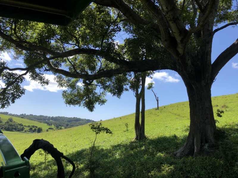 22 East Street, Tintenbar NSW 2478