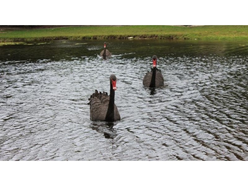 32/1 Shell St, Urangan QLD 4655