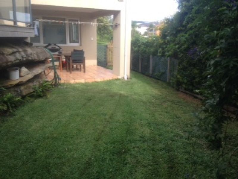 56 Robertson Road, North Curl Curl NSW 2099