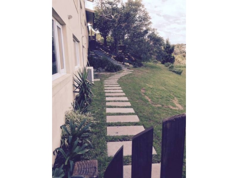 56 Robertson Road, North Curl Curl NSW 2099