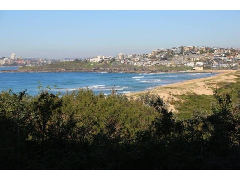 56 Robertson Road, North Curl Curl NSW 2099