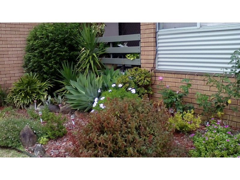 3/29-31 Prince Edward Drive, Brownsville NSW 2530