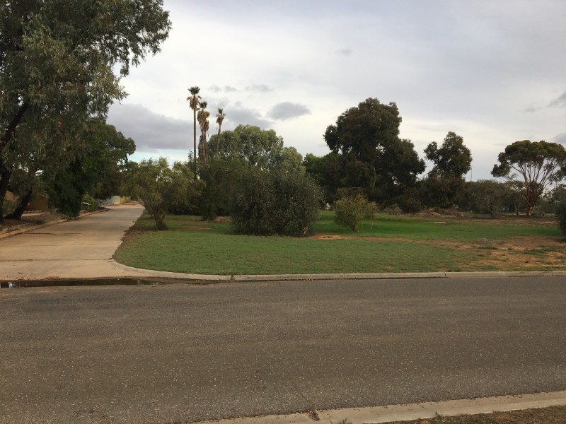 12 Coghill St, Manangatang VIC 3546