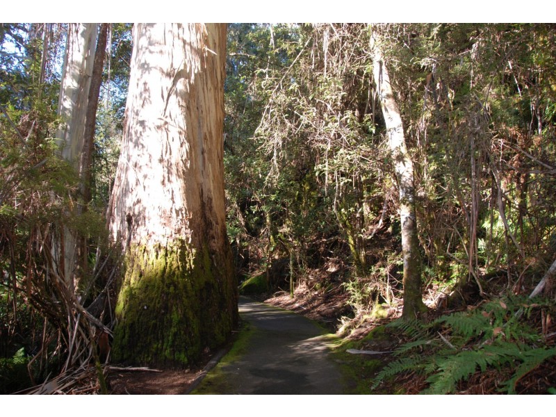 Lot lot 3, 3 Echo Valley Road, Liena TAS 7304