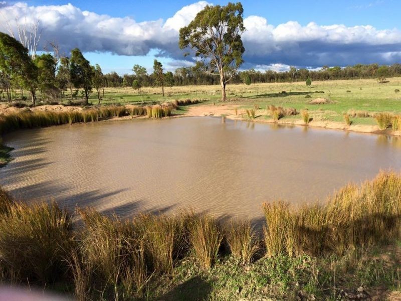 3442 Millmerran Leyburn Road, Leyburn QLD 4365