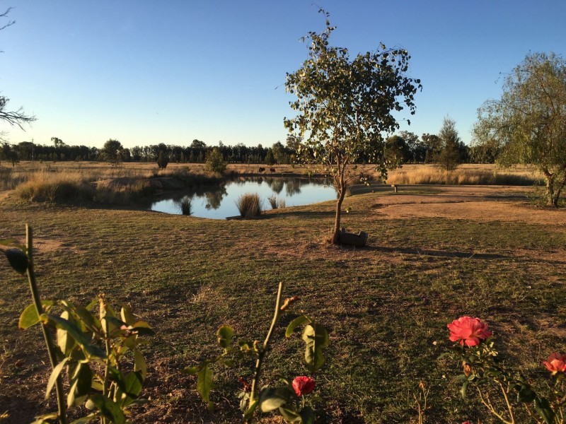 3442 Millmerran Leyburn Road, Leyburn QLD 4365