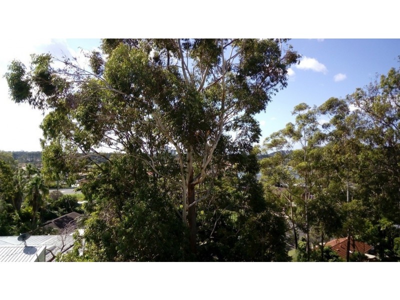 15 Larentia St, Currumbin Waters QLD 4223