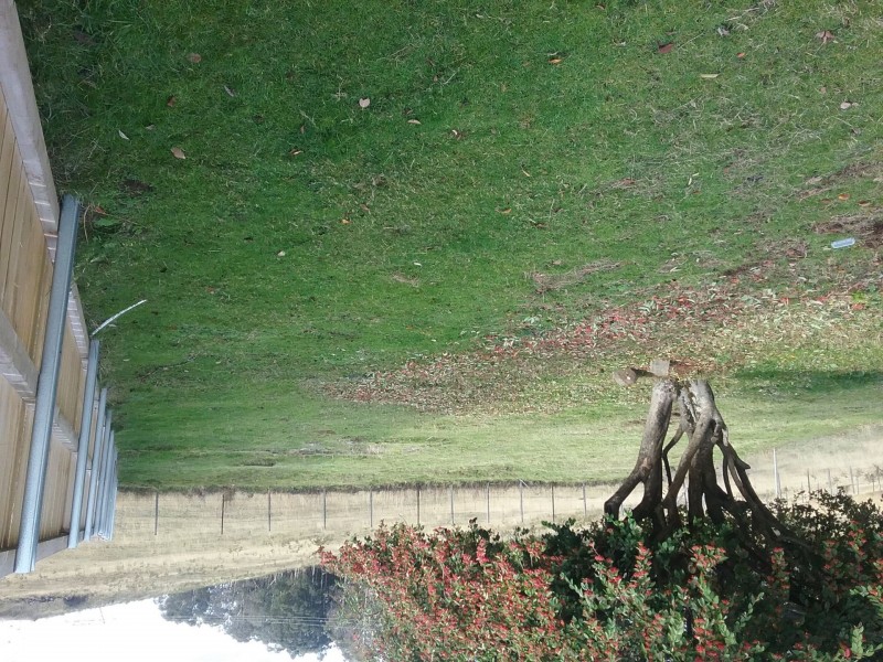 8609 Lyell Highway, Ouse TAS 7140