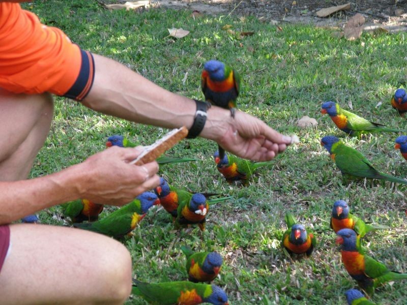 111/67-79 Mandalay Ave, Nelly Bay QLD 4819