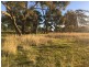 lot 1 wedderburn-boort rd, Borung VIC 3518