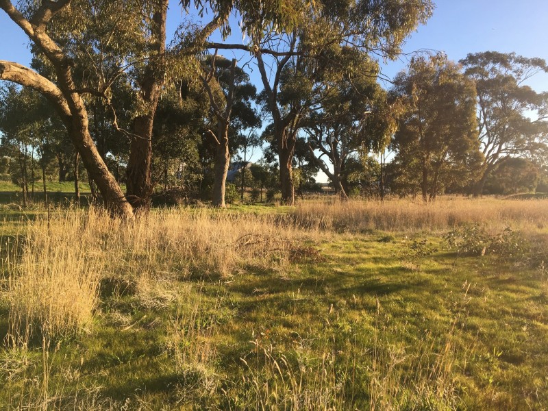lot 1 wedderburn-boort rd, Borung VIC 3518