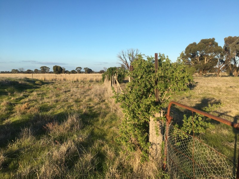 crown allotment 45 Mincha north rd, Mincha VIC 3575