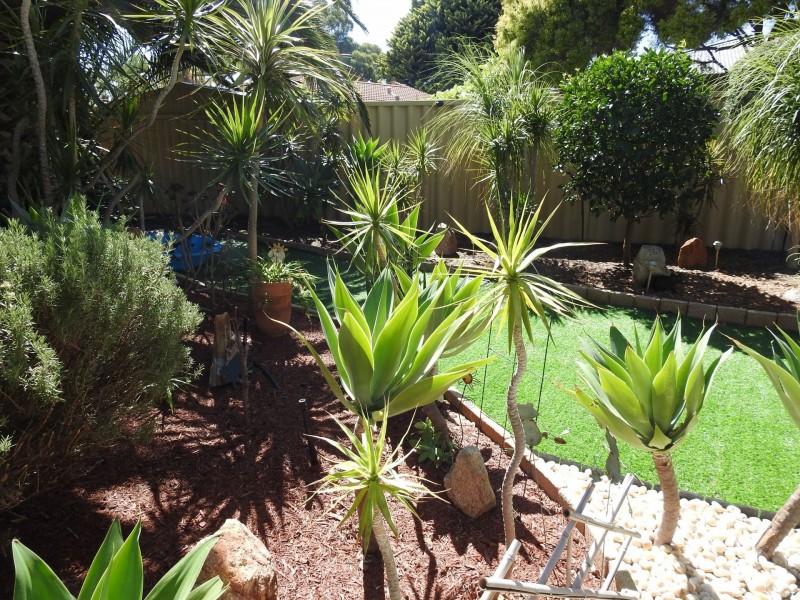 6 Ewell Court, Marangaroo WA 6064