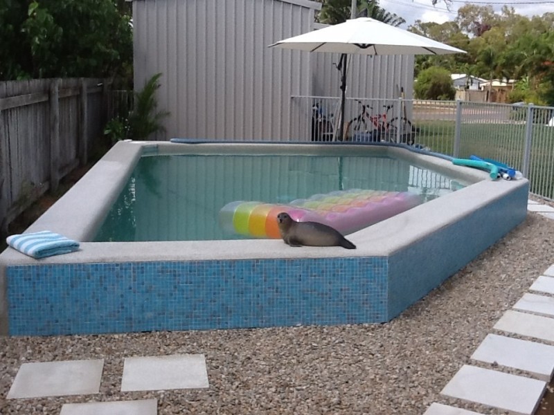 12 Coral St, Saunders Beach QLD 4818