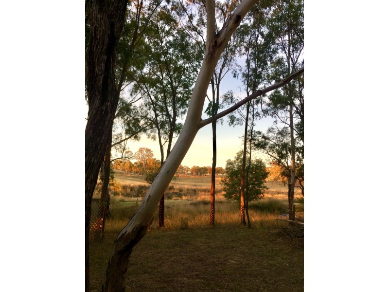 16756 Cunningham Highway, Thane QLD 4370