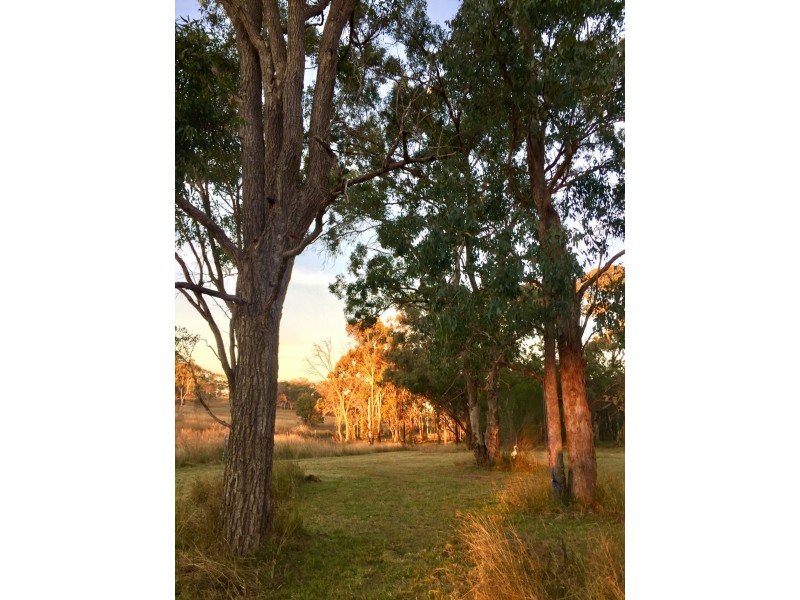 16756 Cunningham Highway, Thane QLD 4370