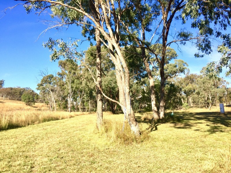 16756 Cunningham Highway, Thane QLD 4370