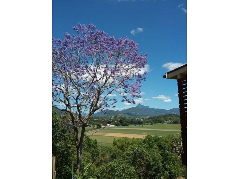 62 Myrtle Street, Murwillumbah NSW 2484