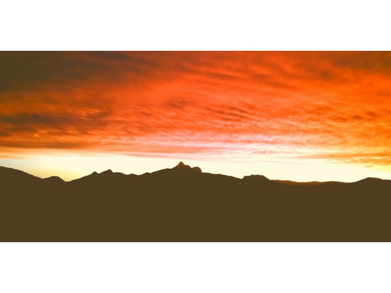 62 Myrtle Street, Murwillumbah NSW 2484