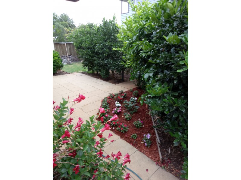 234 Geddes Street, Centenary Heights QLD 4350