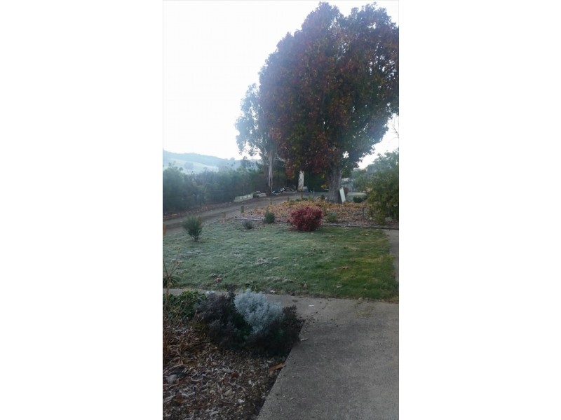 340 Batlow Rd, Tumbarumba NSW 2653