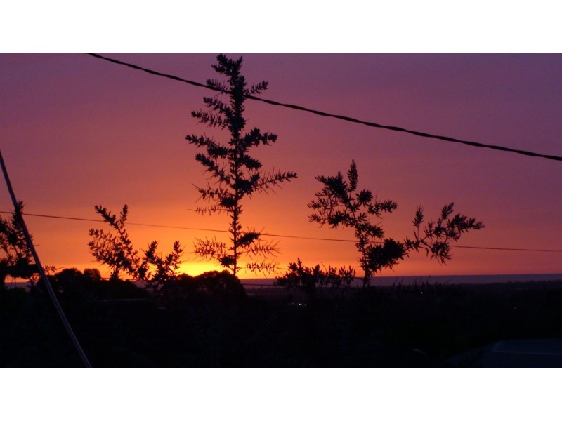 21 Ottawa Ave, Panorama SA 5041