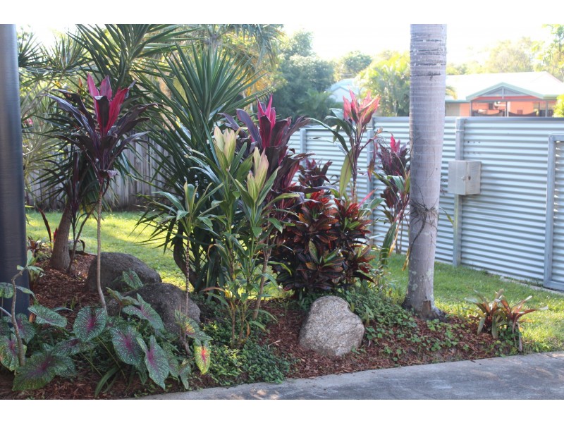 Bentley Park QLD 4869