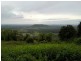 335 STEWART RD, COONDOO, Wolvi QLD 4570