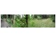 335 STEWART RD, COONDOO, Wolvi QLD 4570