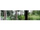 335 STEWART RD, COONDOO, Wolvi QLD 4570