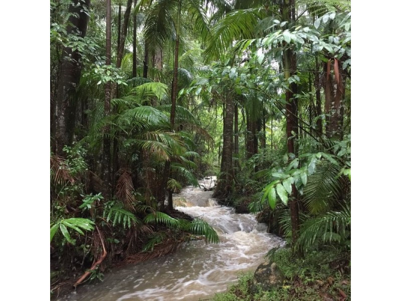 Tallebudgera Valley QLD 4228