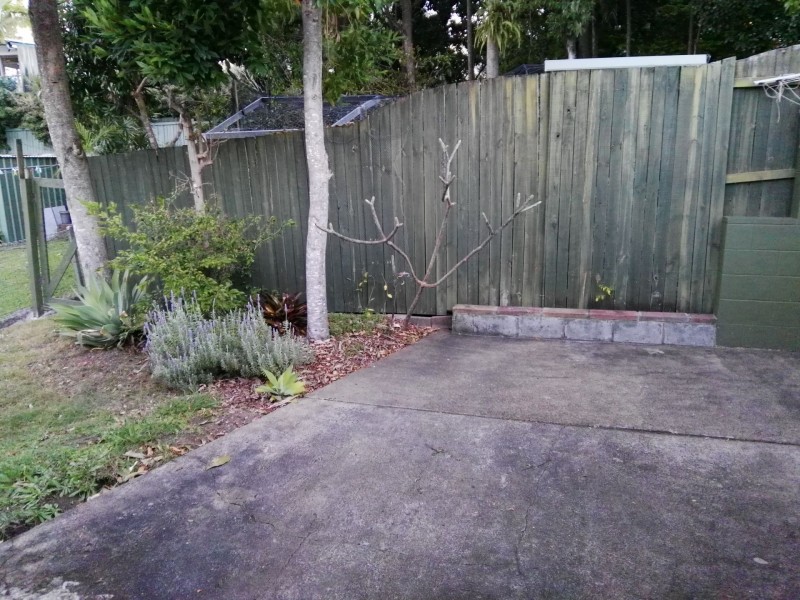 38 Payne Street, Auchenflower QLD 4066