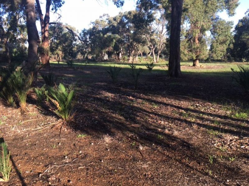 386 Refractory Road, Bakers Hill WA 6562