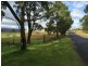 3 Pillinger Sr, Zeehan TAS 7469