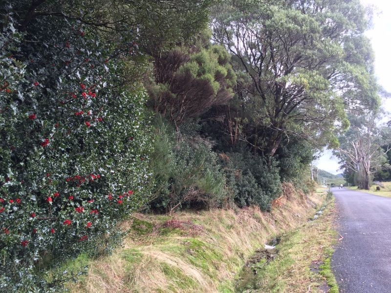 3 Pillinger Sr, Zeehan TAS 7469