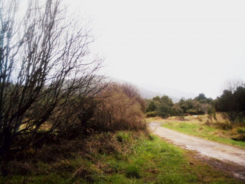 44 Urquhart St, Rosebery TAS 7470