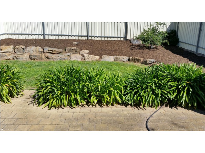 16 Melbourne St, Sturt SA 5047