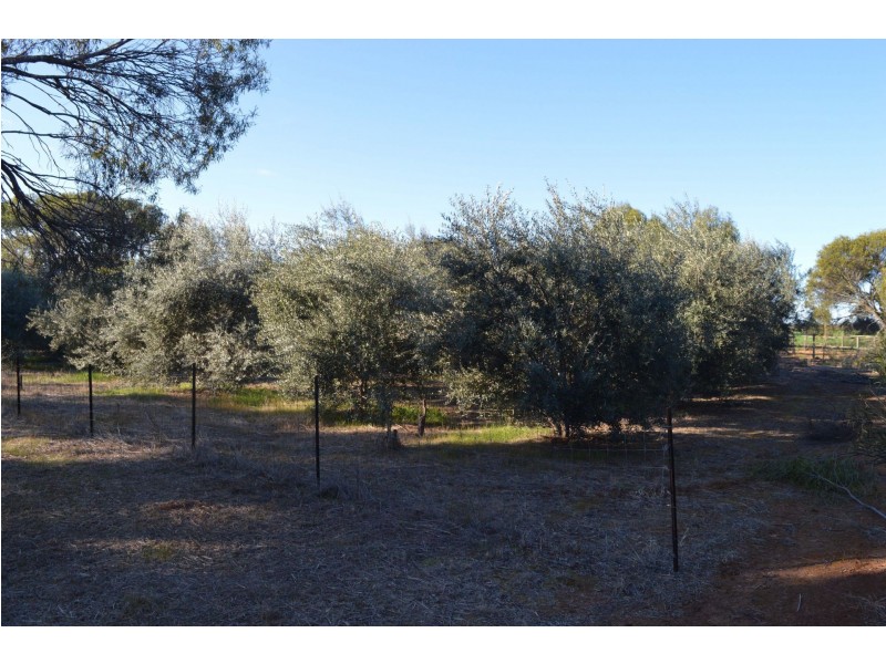 873 Goomalling-Toodyay Road, Toodyay WA 6566