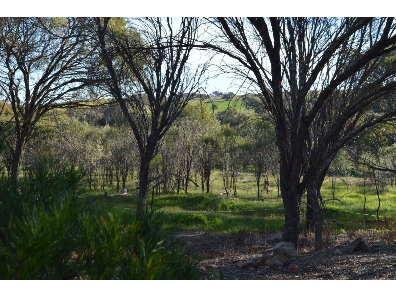 873 Goomalling-Toodyay Road, Toodyay WA 6566