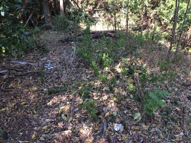 Mount Kembla NSW 2526