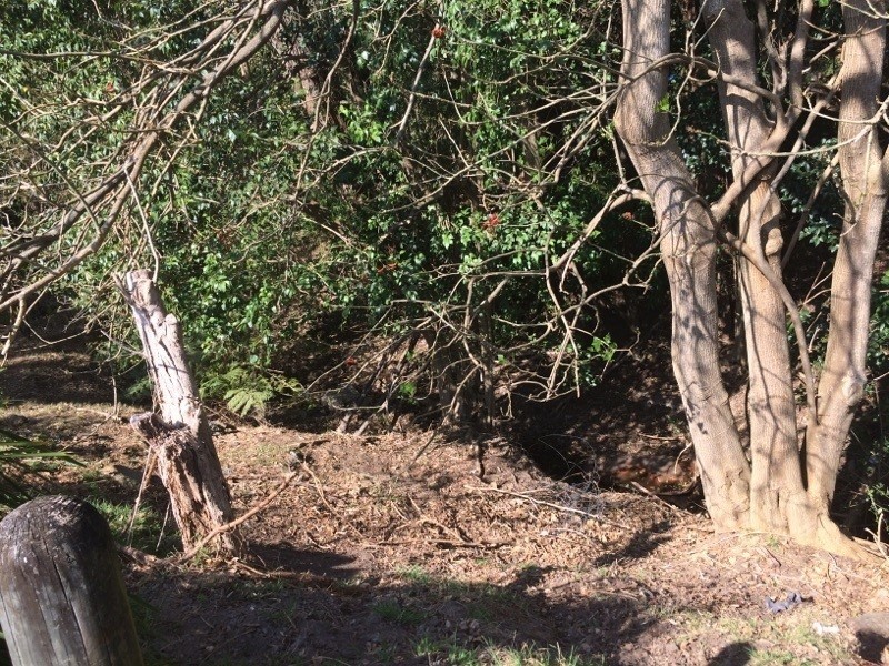 Mount Kembla NSW 2526