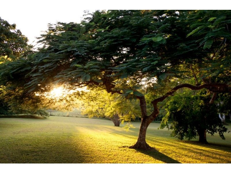 30 Rosehill Road, Tinana QLD 4650