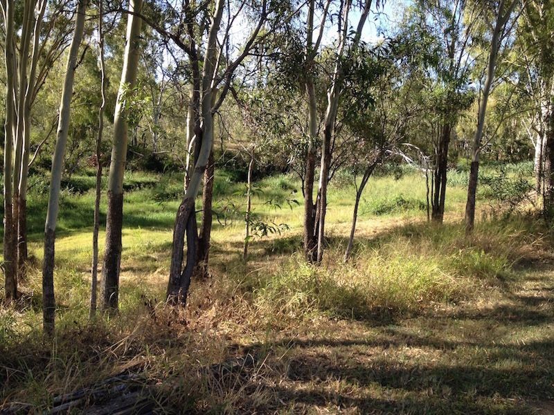 Horse Creek QLD 4714