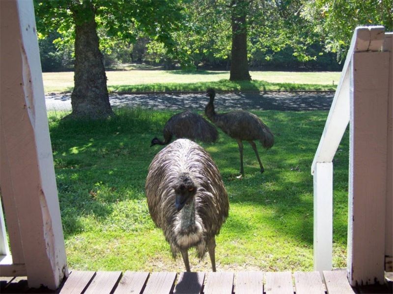 1 Nyamup Rd, Dingup WA 6258